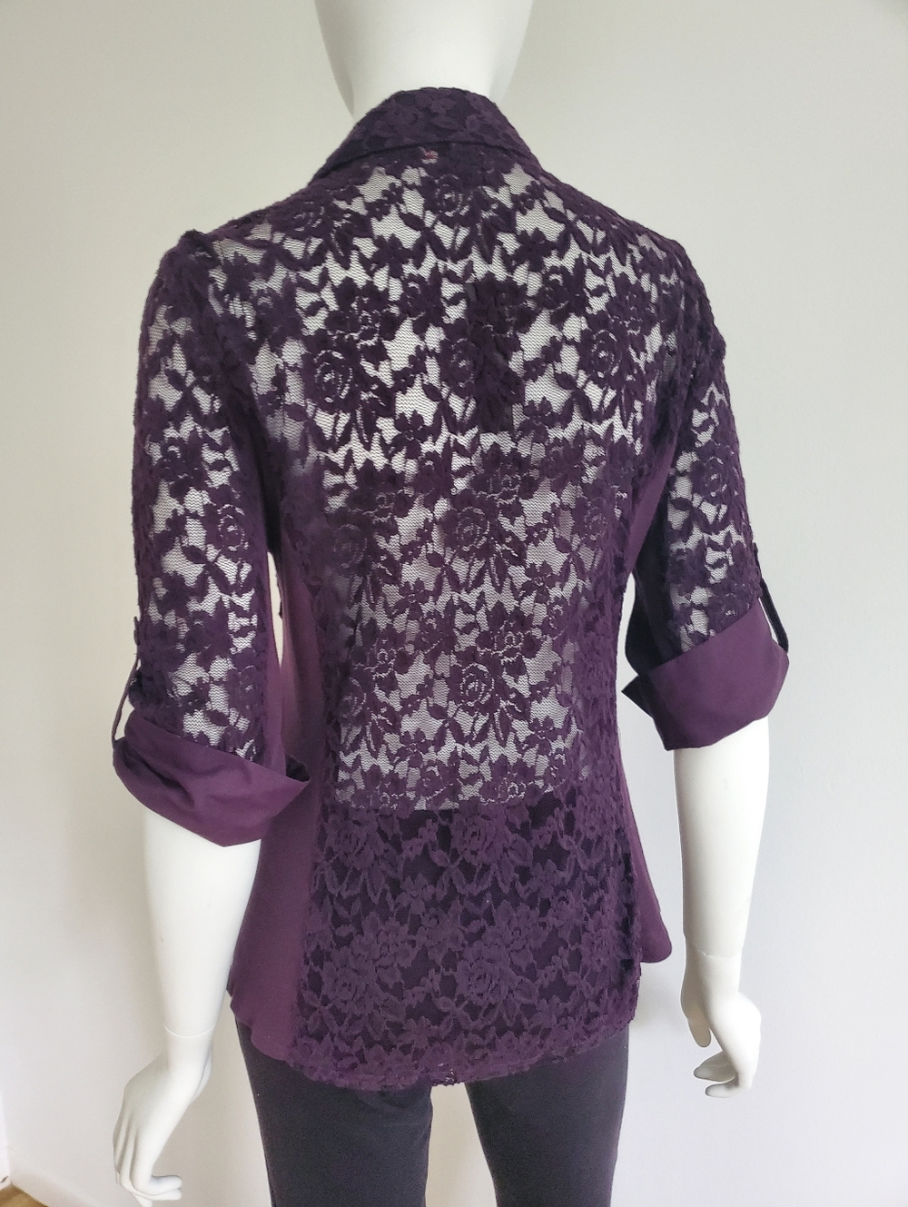 Sheer Blouse - Picture 4 of 8